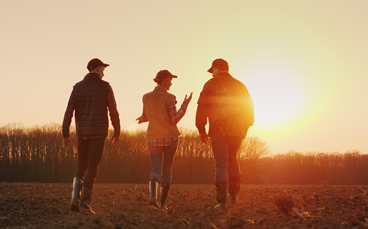 Three farmers walk a plowed field at sunset