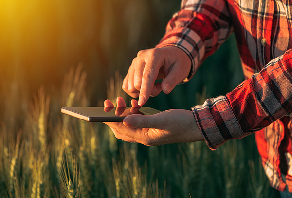farmer with phone