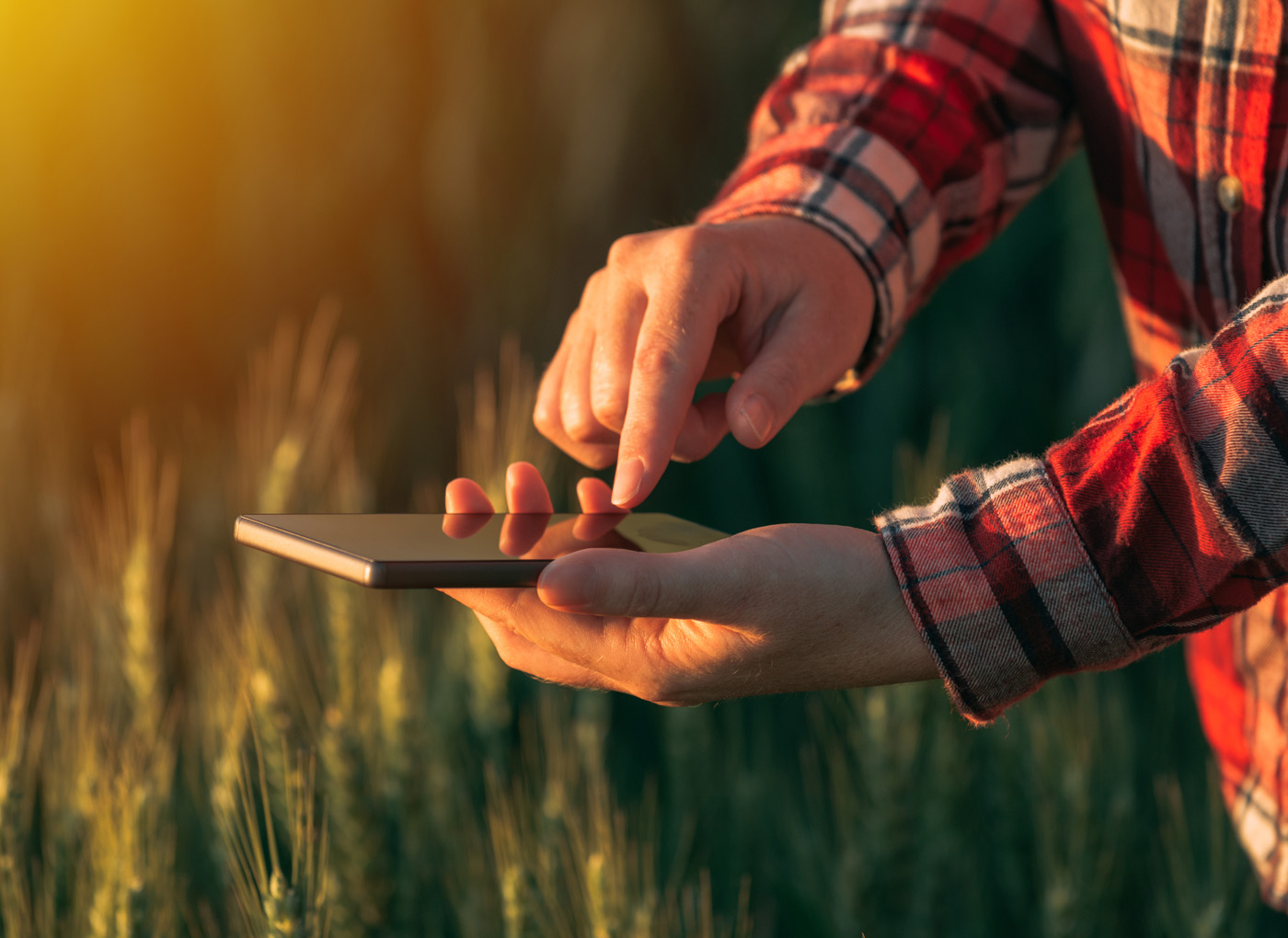 farmer with cell phone