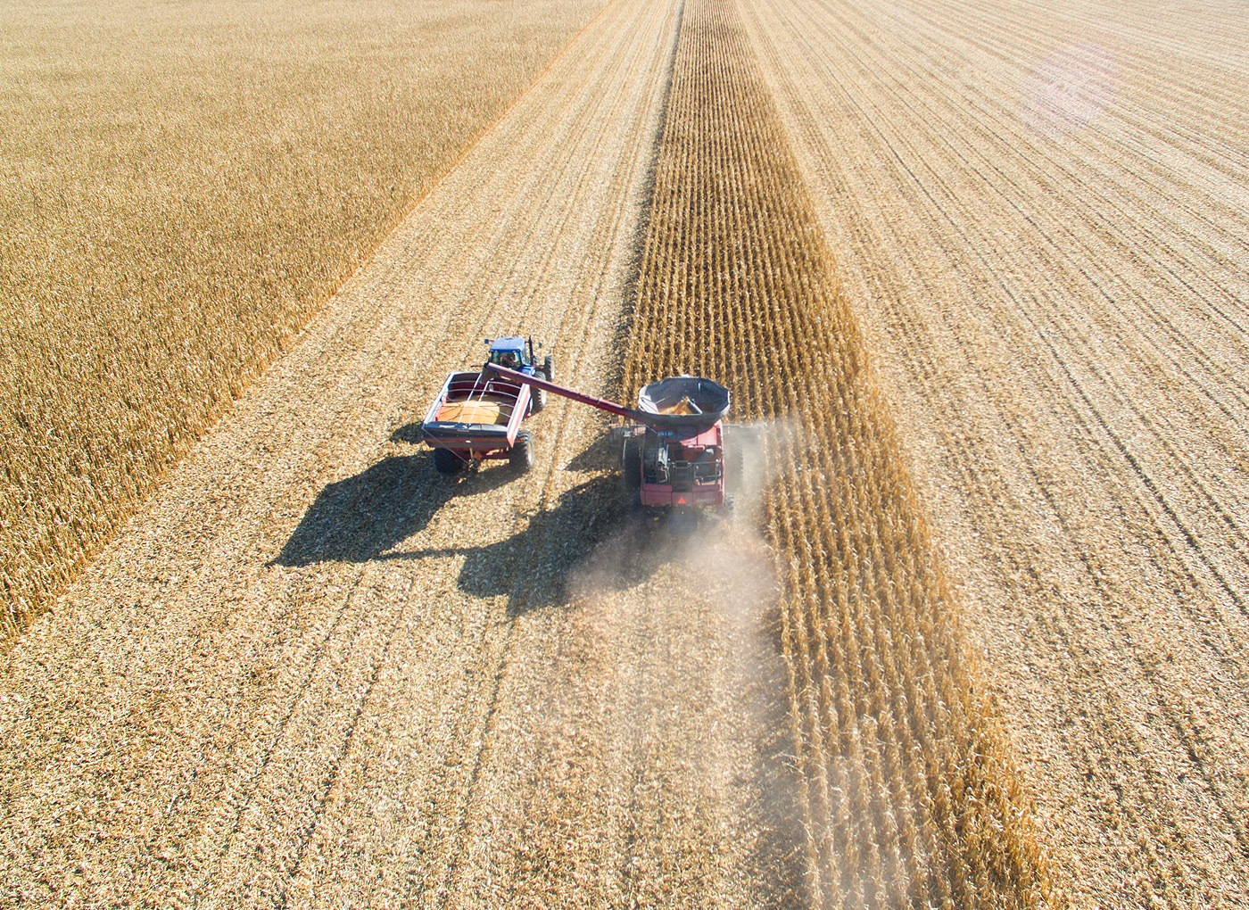 aerial view of crop